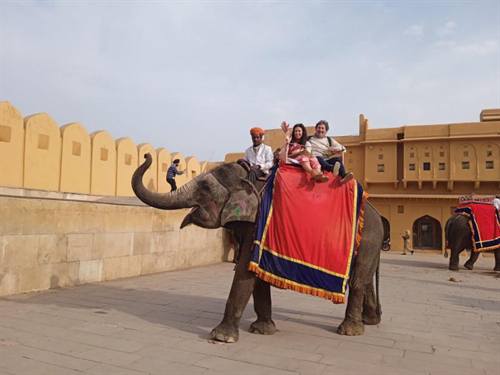 India Karni journeys — photograph 175