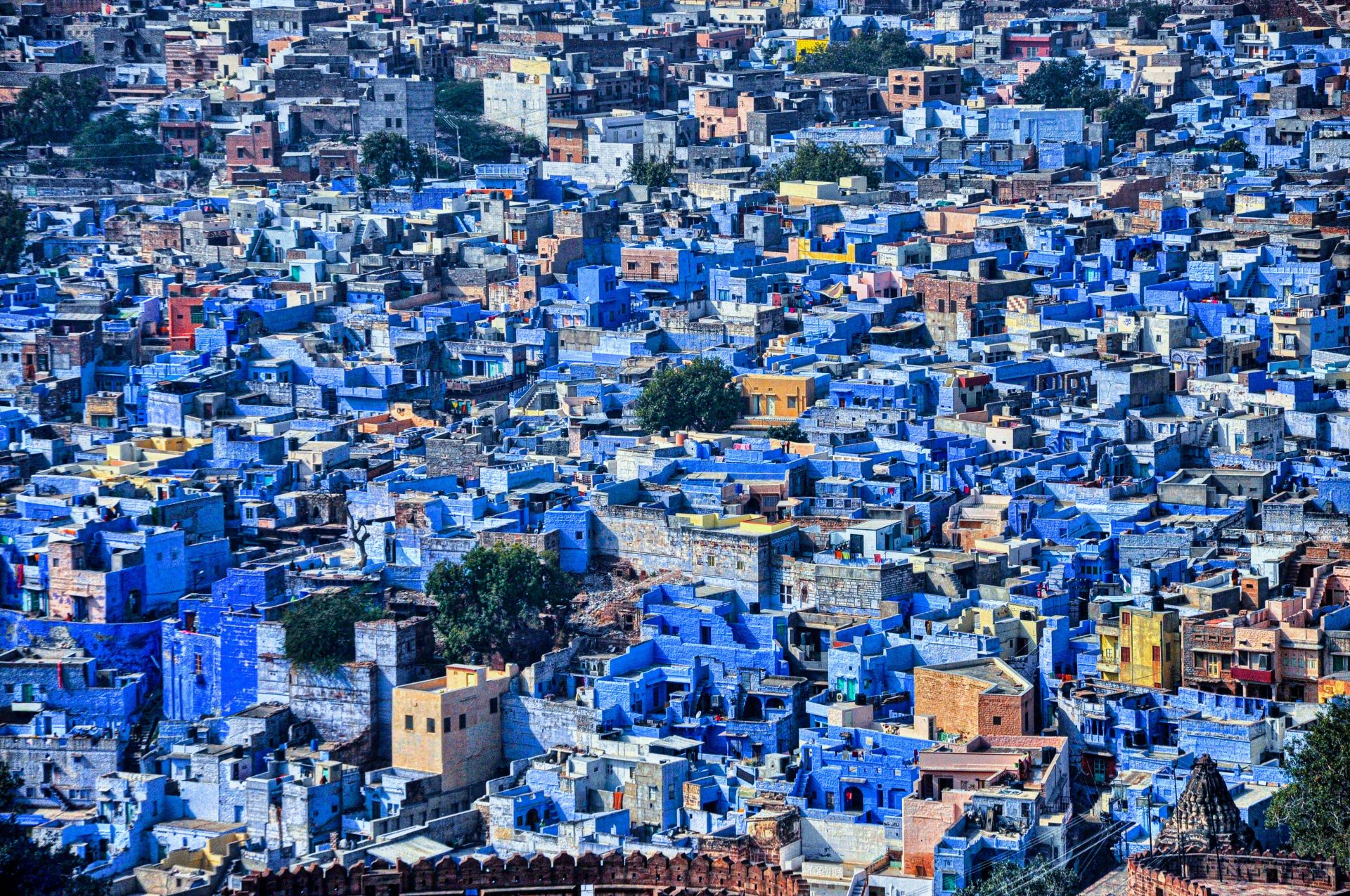 Farewell Blue City, head back to Delhi