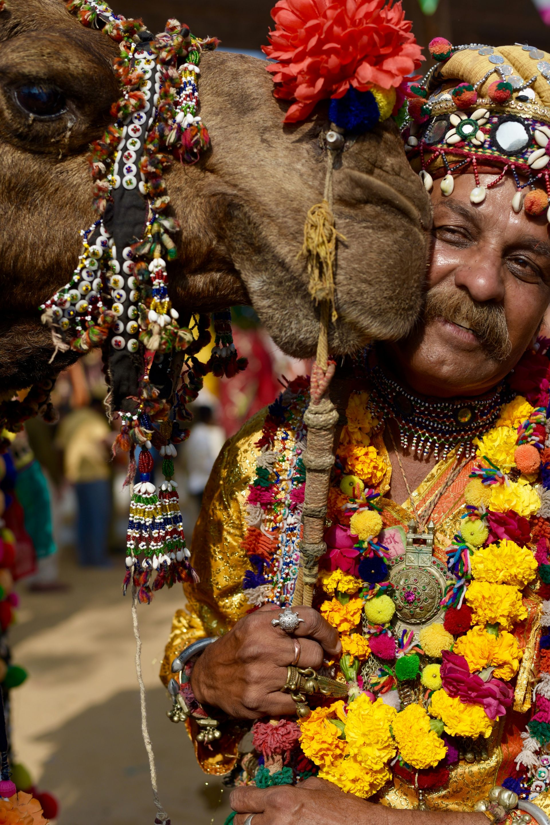 Explore the Pushkar Fair