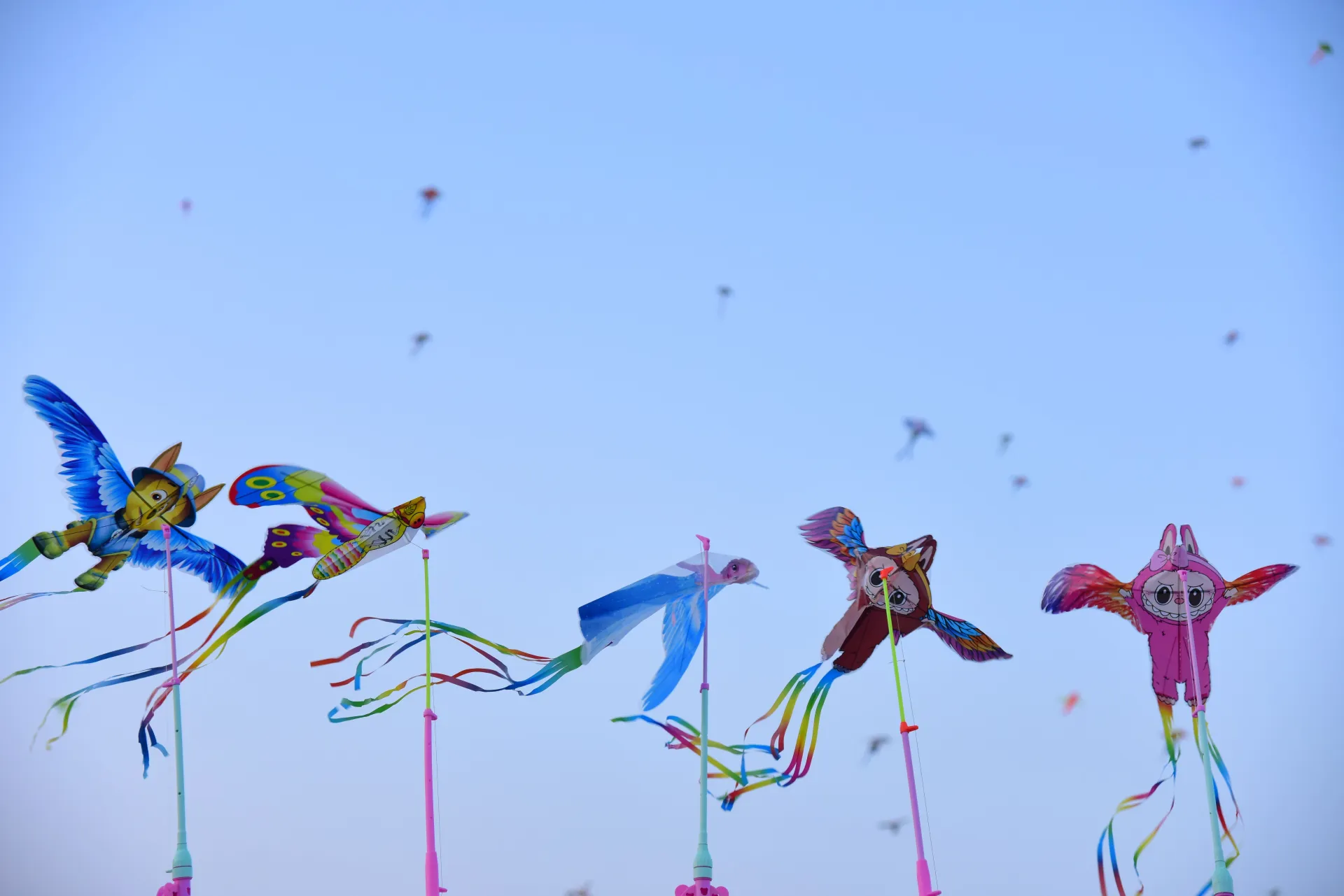 Uttarayan in Ahmedabad