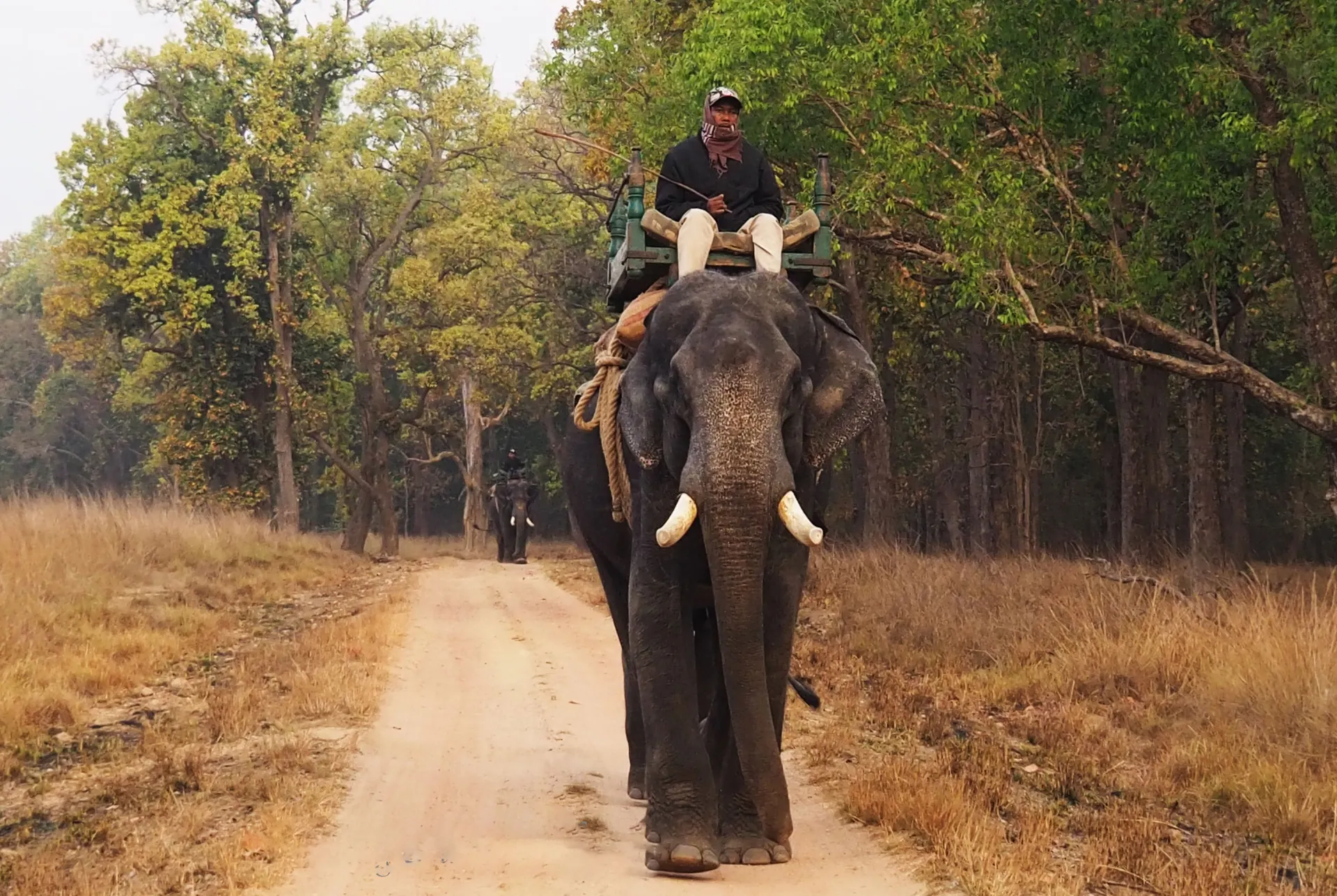 Kanha National Park
