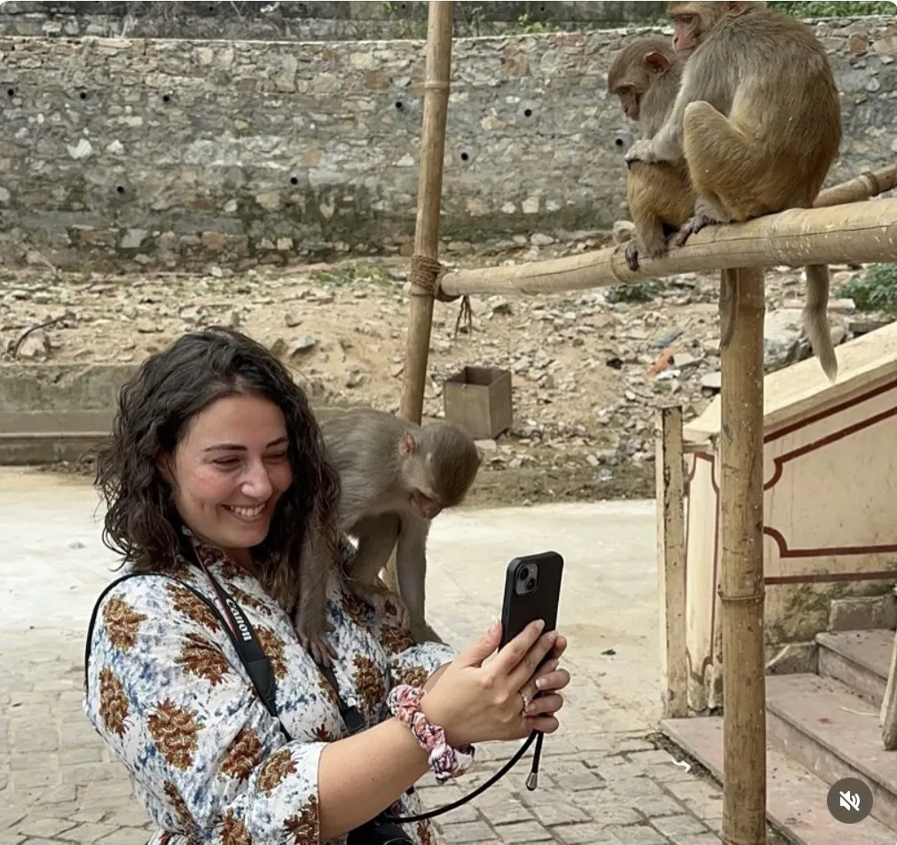 Explore in and around Pink City