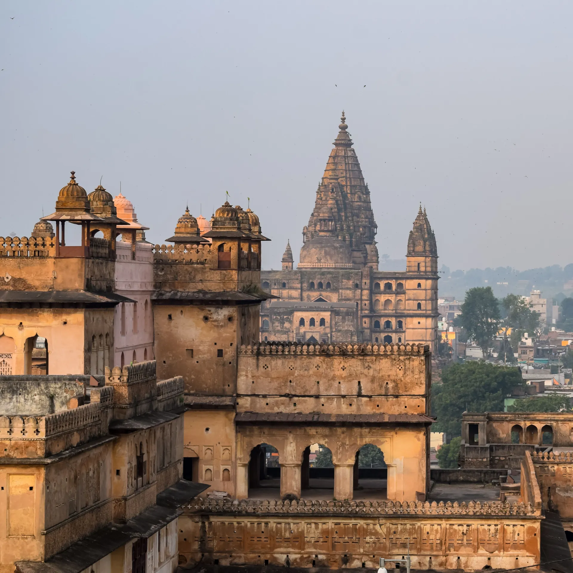 After the Land of the Taj, you head to Orchha, Madhya Pradesh