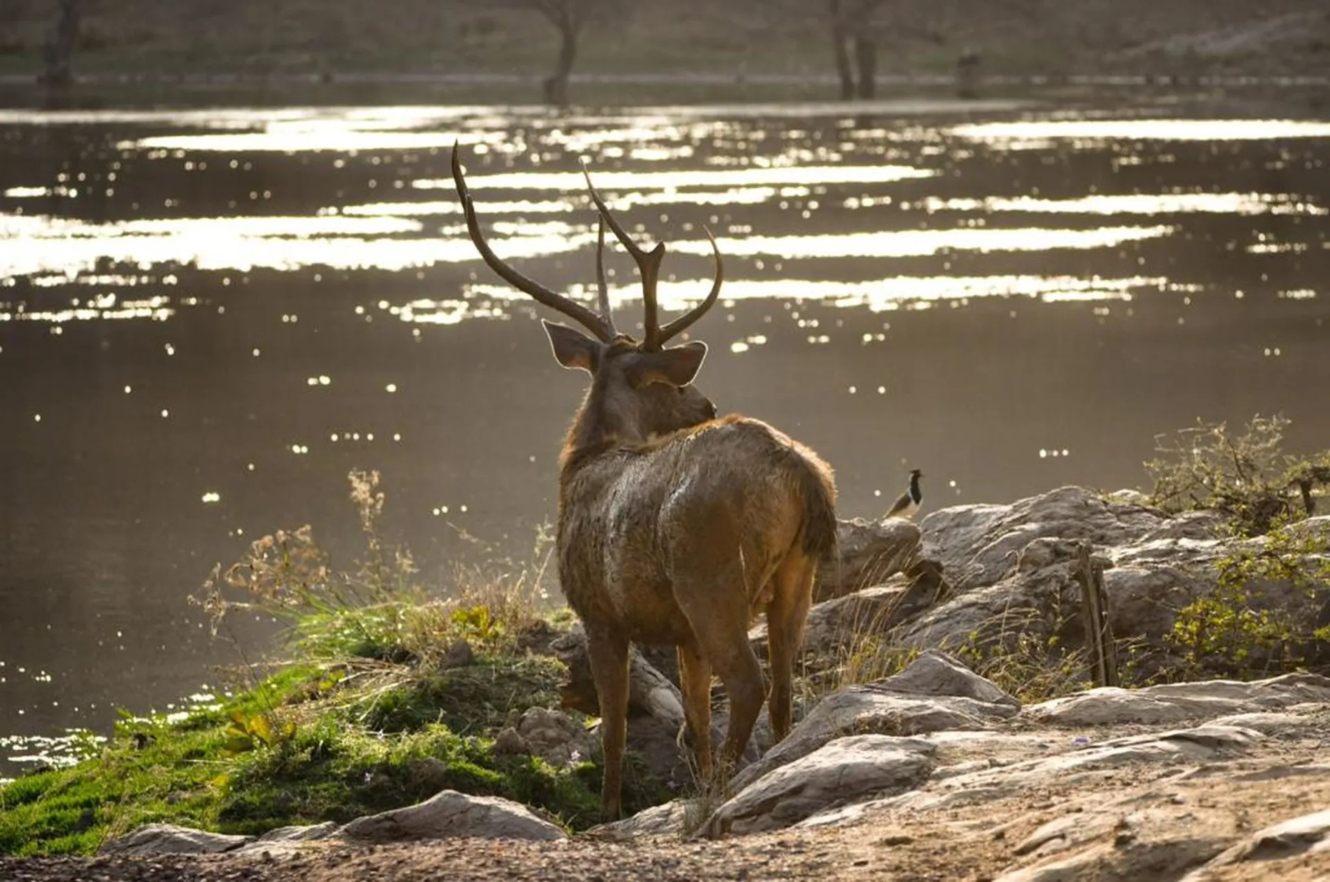 The breathtaking Kanha National Park
