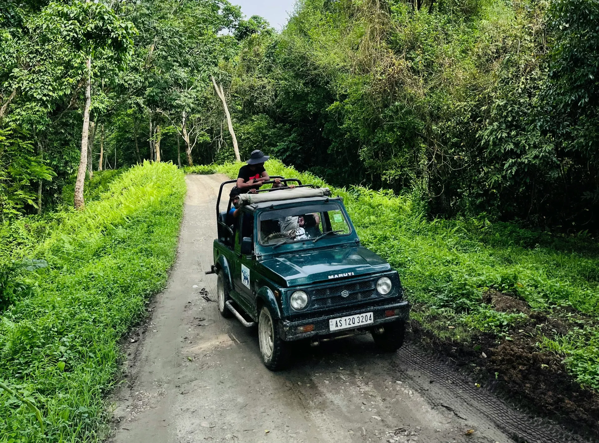 Good bye Kanha as you head on to Pench National Park