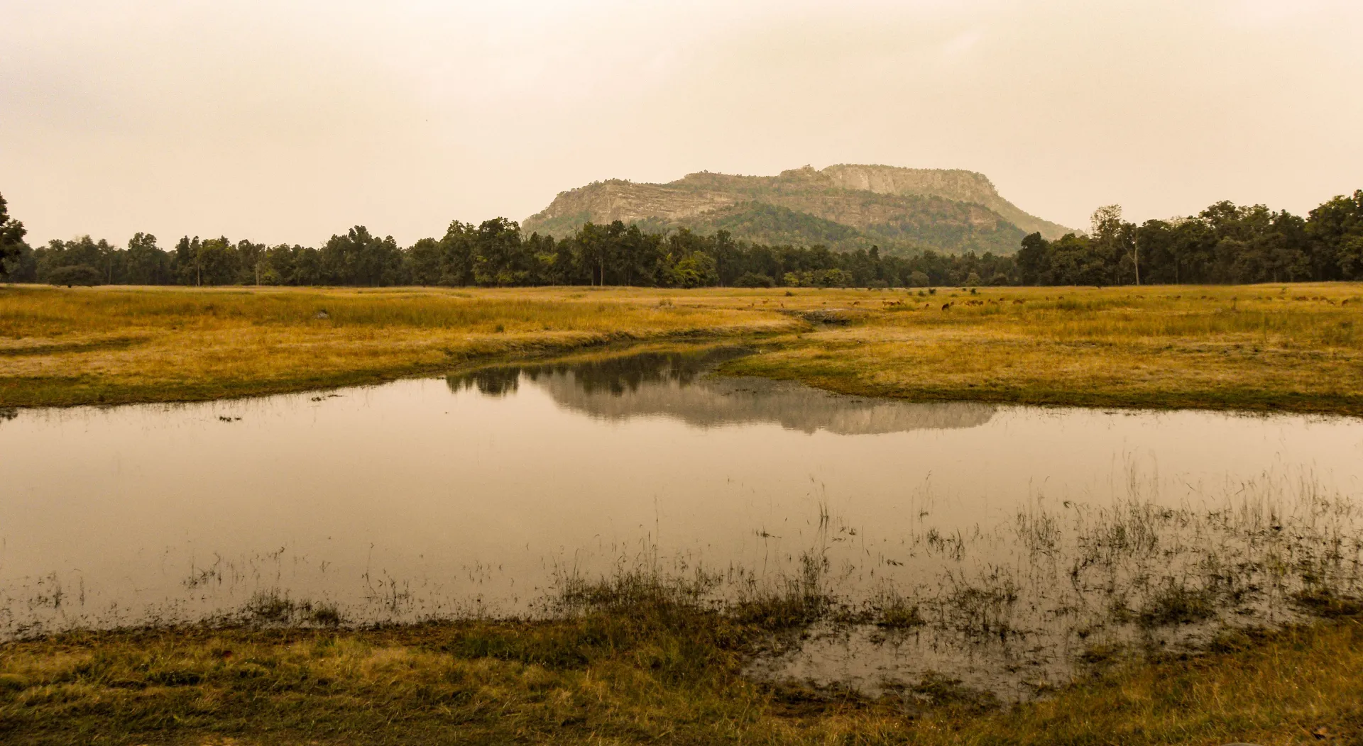 The breathtaking Kanha National Park