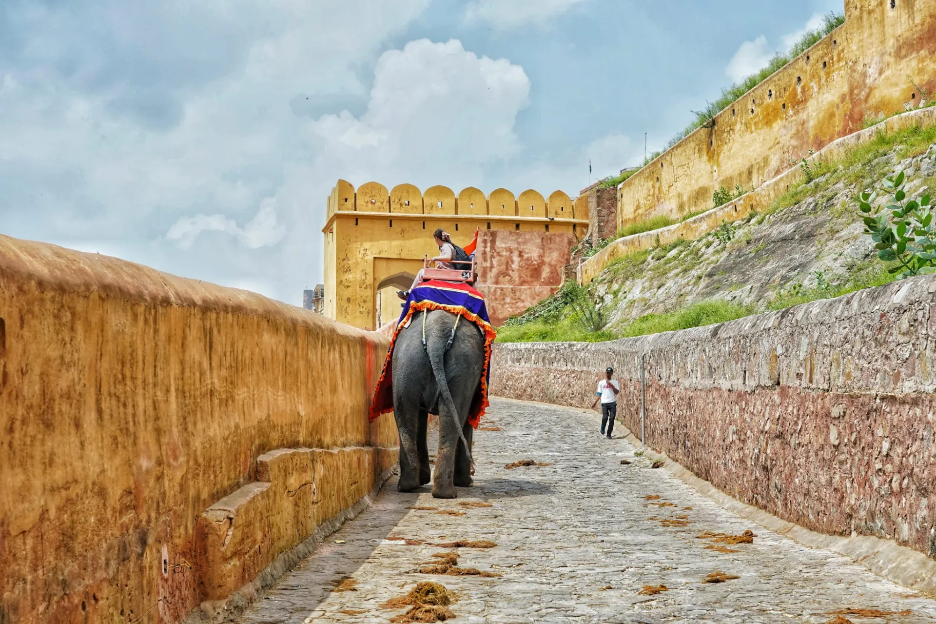 Explore in and around Pink City