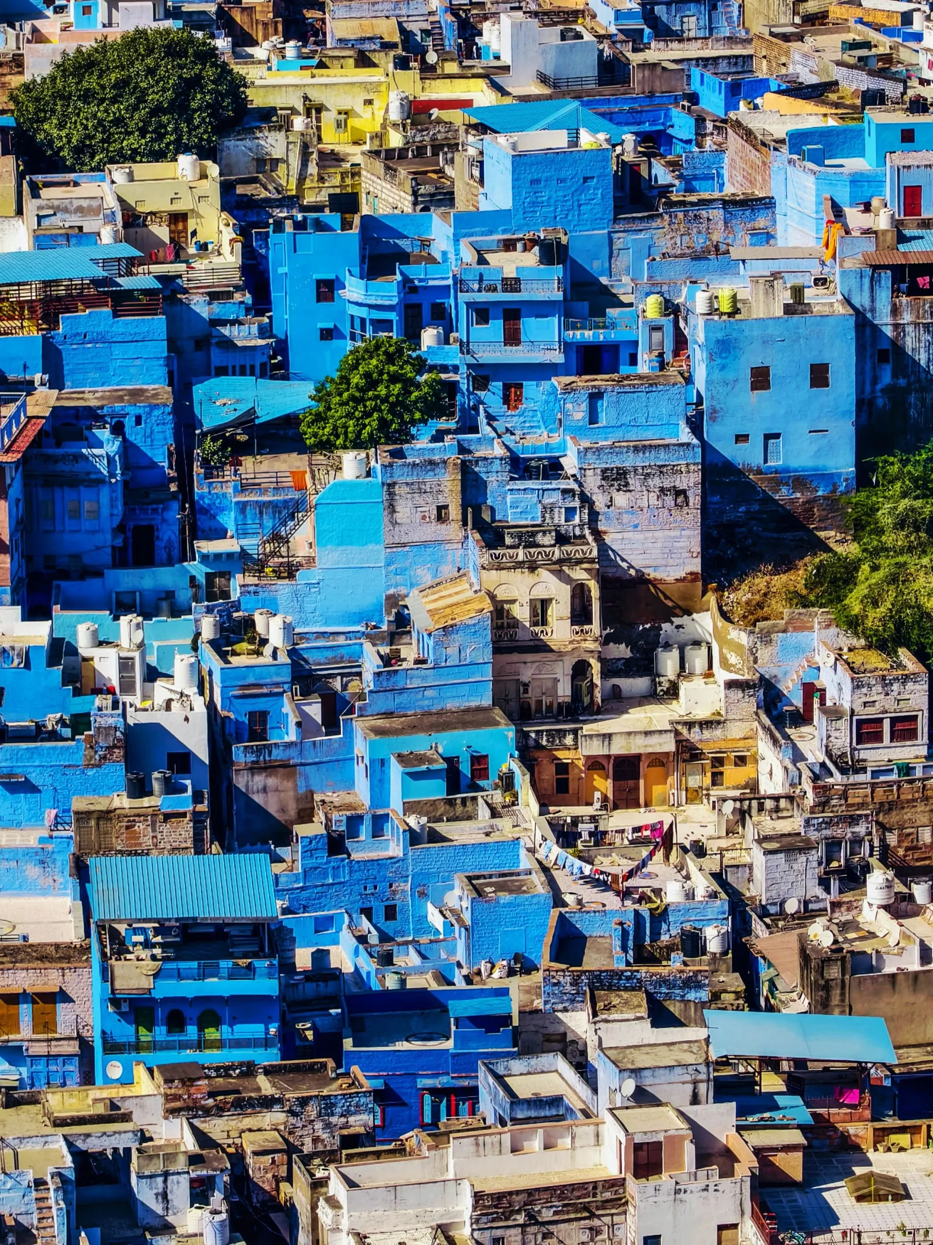 Farewell to Udaipur, as you head towards the Blue City via Kumbhalgarh and Ranakpur