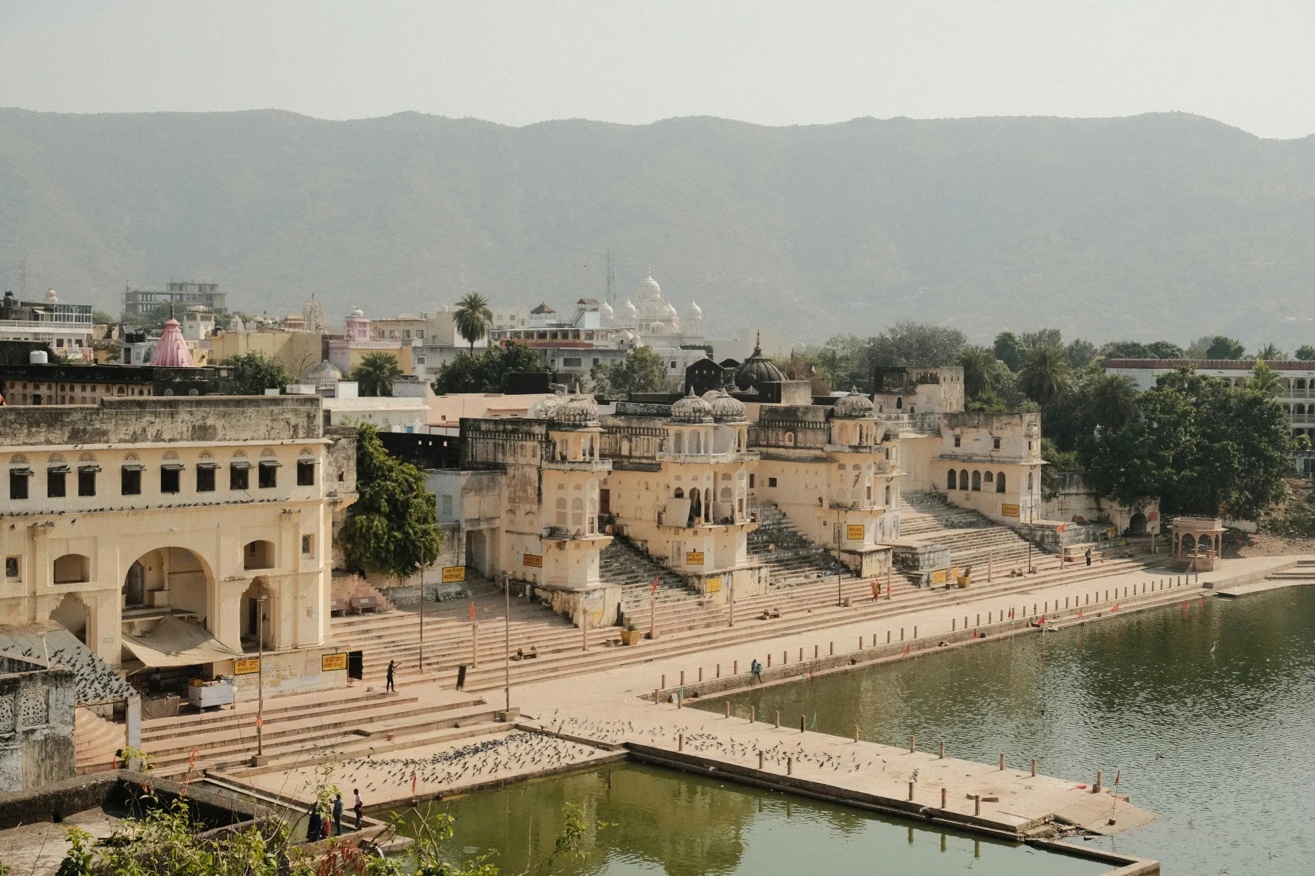Bid adieu to Ranthambore as you head to Pushkar