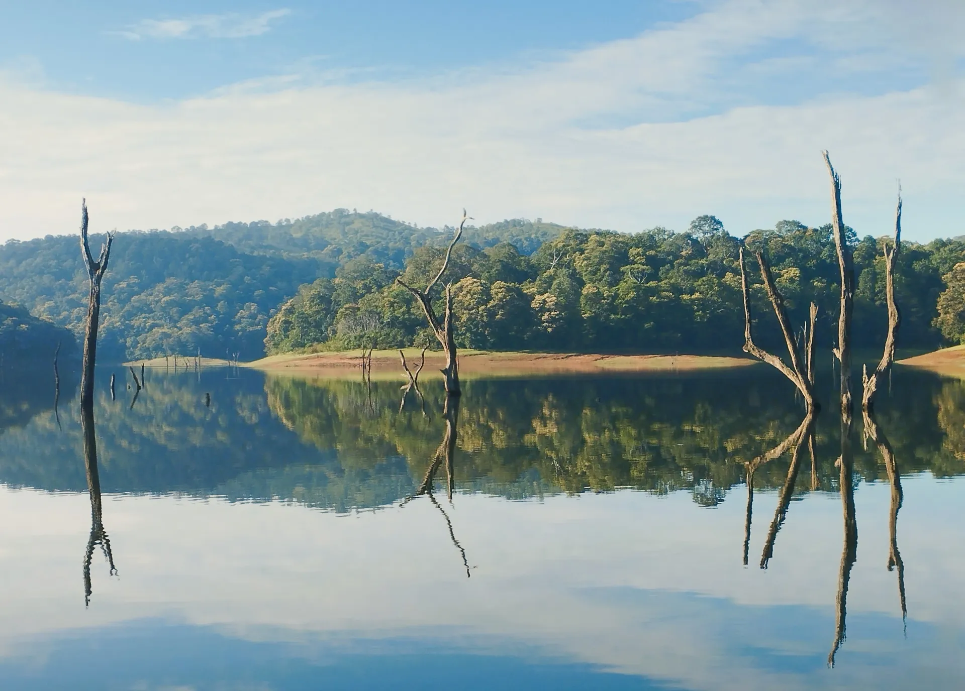Madurai / Thekkady - 150 kms (4 hrs drive)