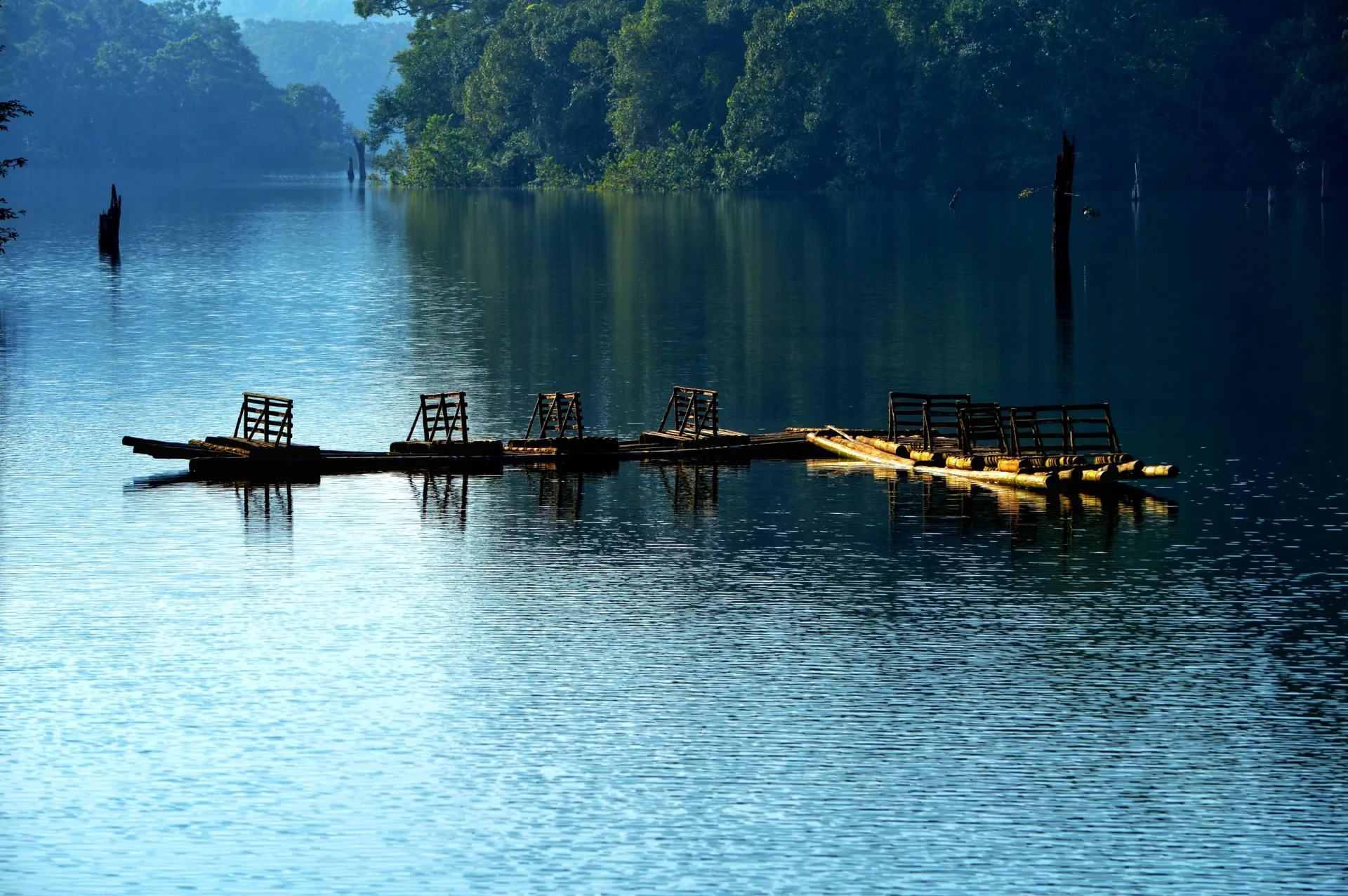 Thekkady / Munnar - 110 kms (3 hrs drive)