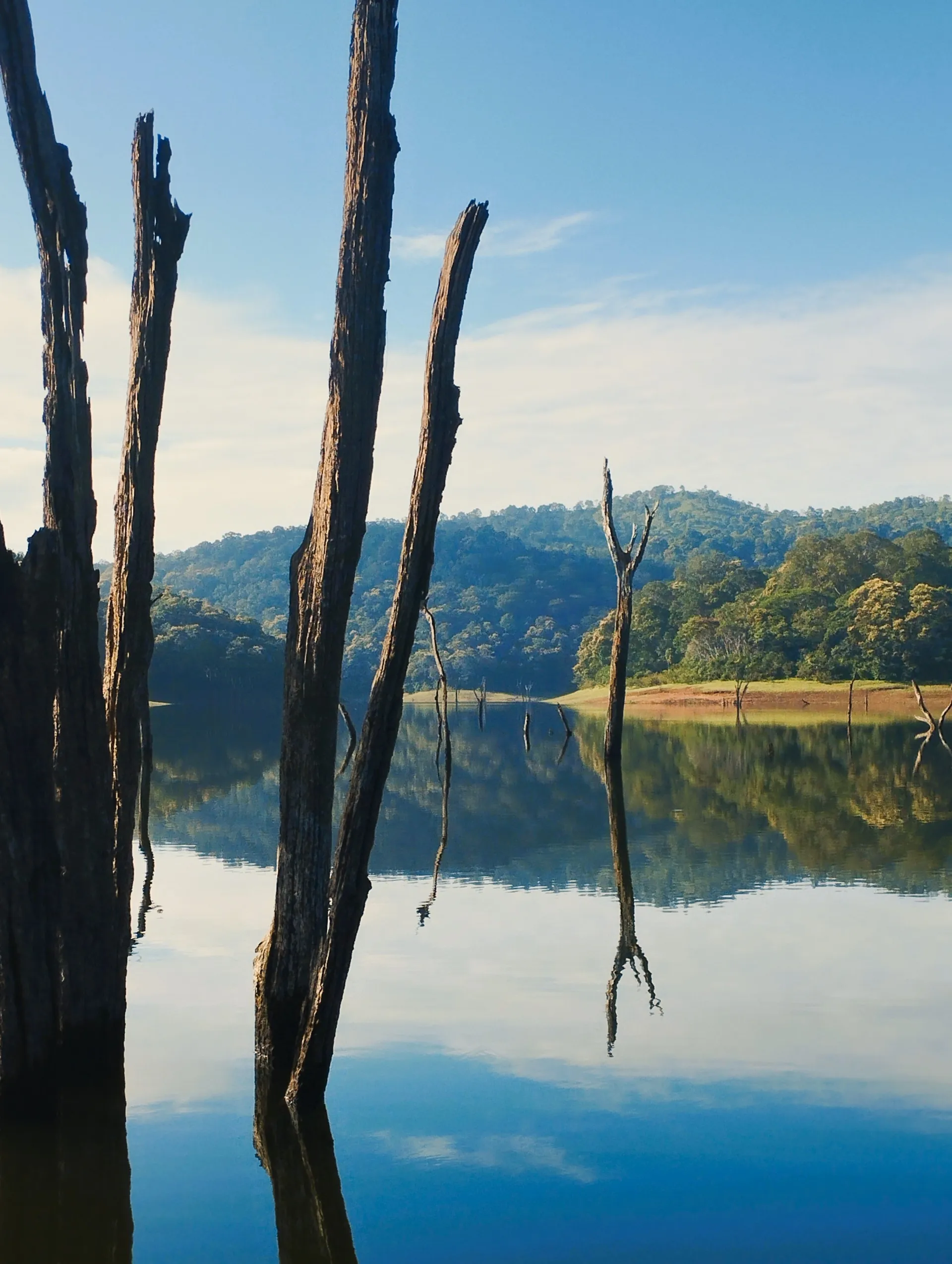 Alleppey / Thekkady - 150 kms (4 hrs drive)
