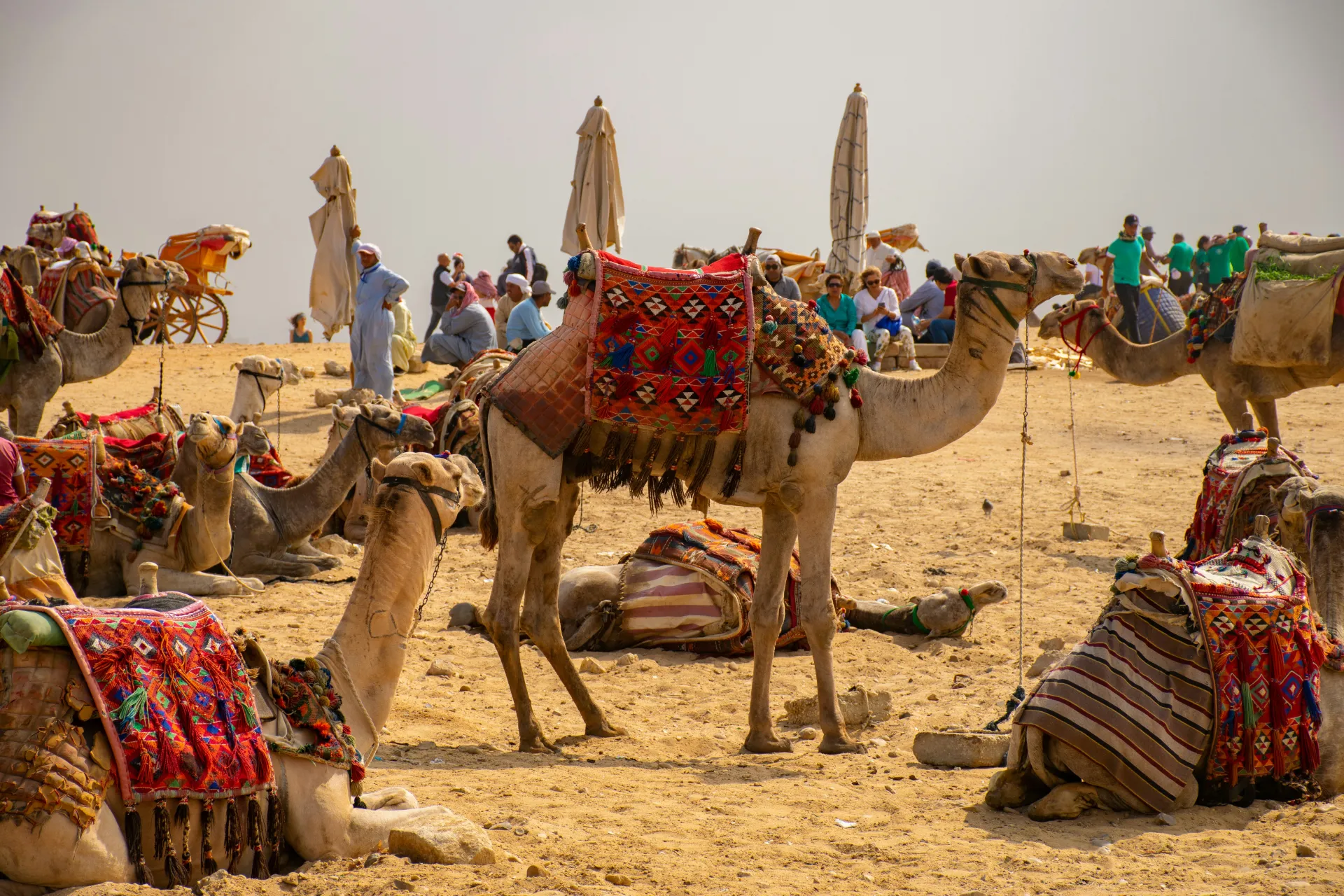 Jaisalmer Desert Festival