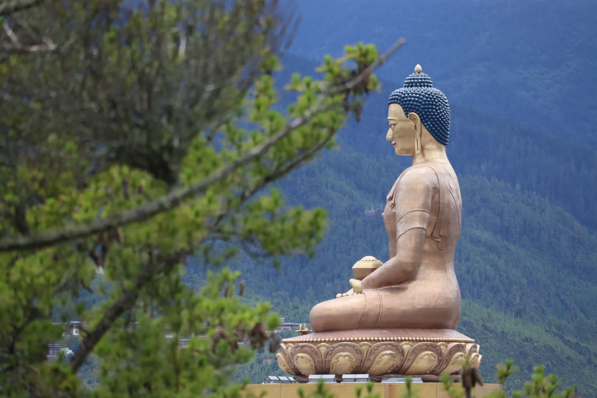 Multi Country Tours (Nepal, India, Bhutan and Sri Lanka)