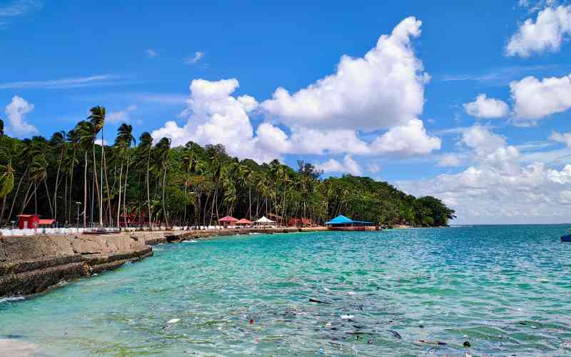 India-Karni-with-Golden-Triangle-Tour-With-Andaman